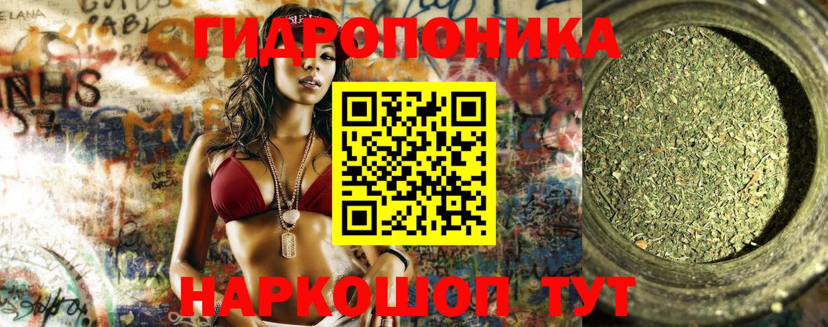 Марихуана марихуана  Конопля OG Kush  Вход с VPN  Светлоград  Шишки марихуана сатива 